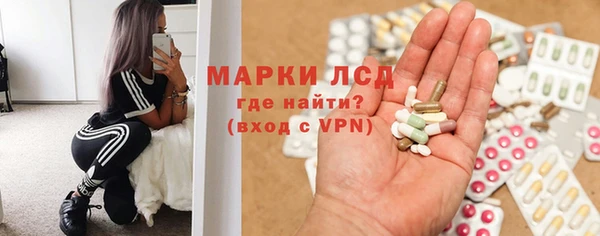 прущие грибы Алексеевка