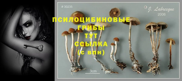 соль ск Алексин