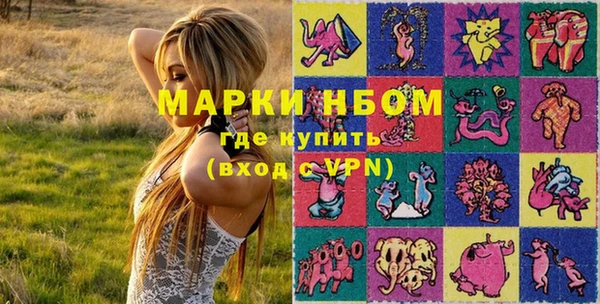 прущие грибы Алексеевка