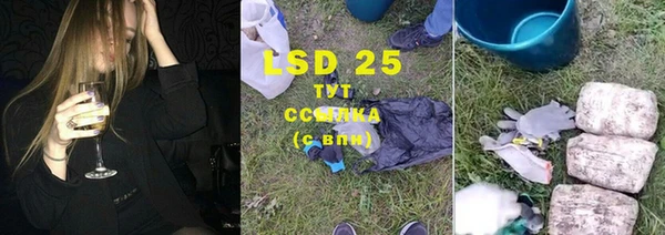 прущие грибы Алексеевка