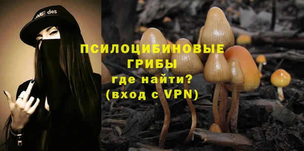 соль ск Алексин
