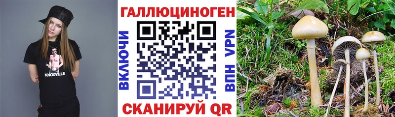 мориарти Telegram Кемерово Псилоцибиновые грибы мицелий